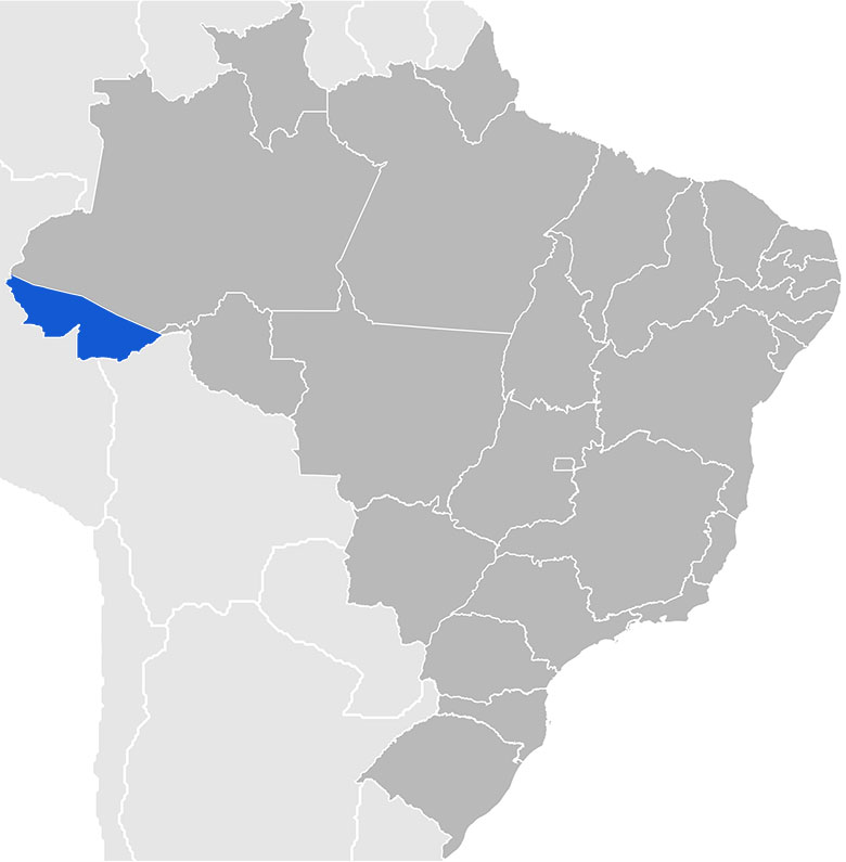 brasil-acre