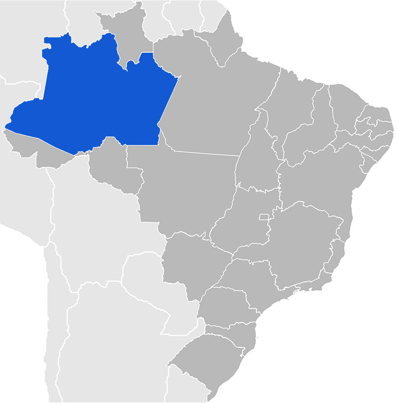 brasil-amazonas